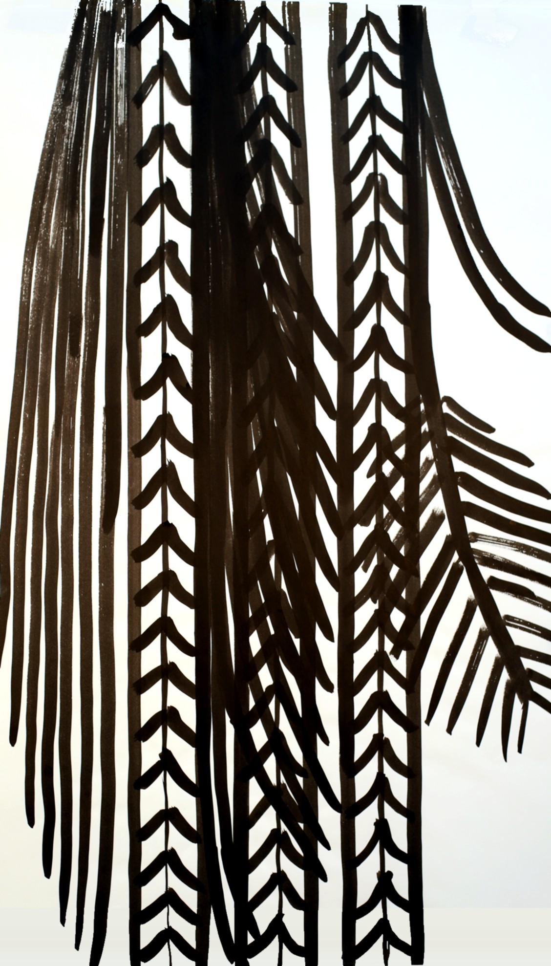 Palm