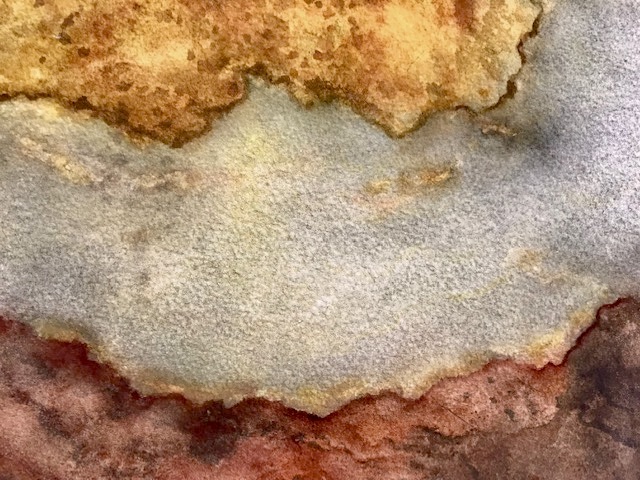Microbial Mat I